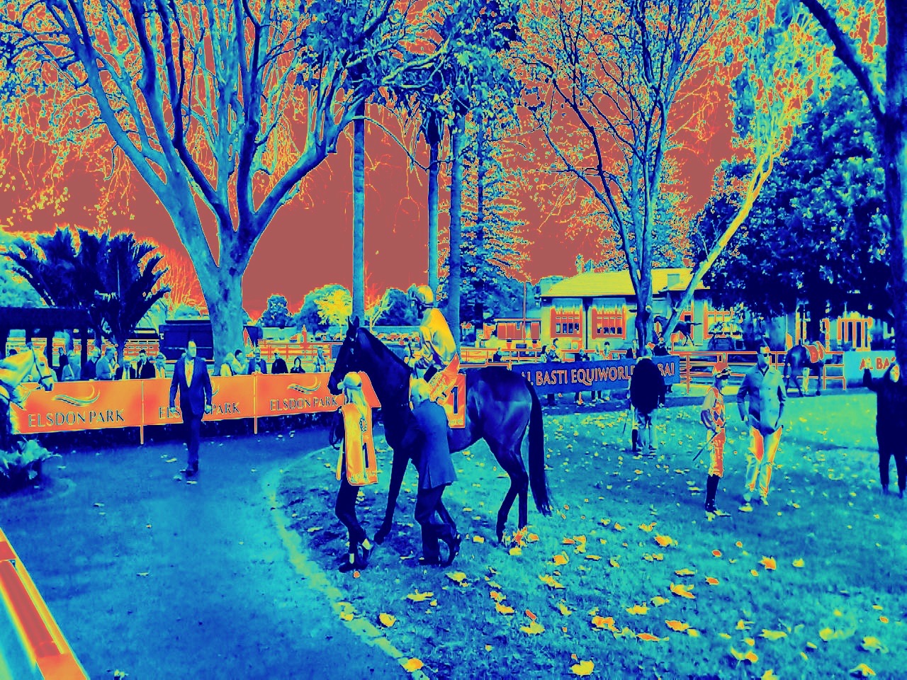 False-colour BETMAN Heatmap view of horses and handlers before a race