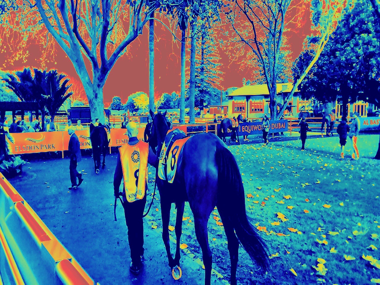 BETMAN Heatmap processed race-day visual layer