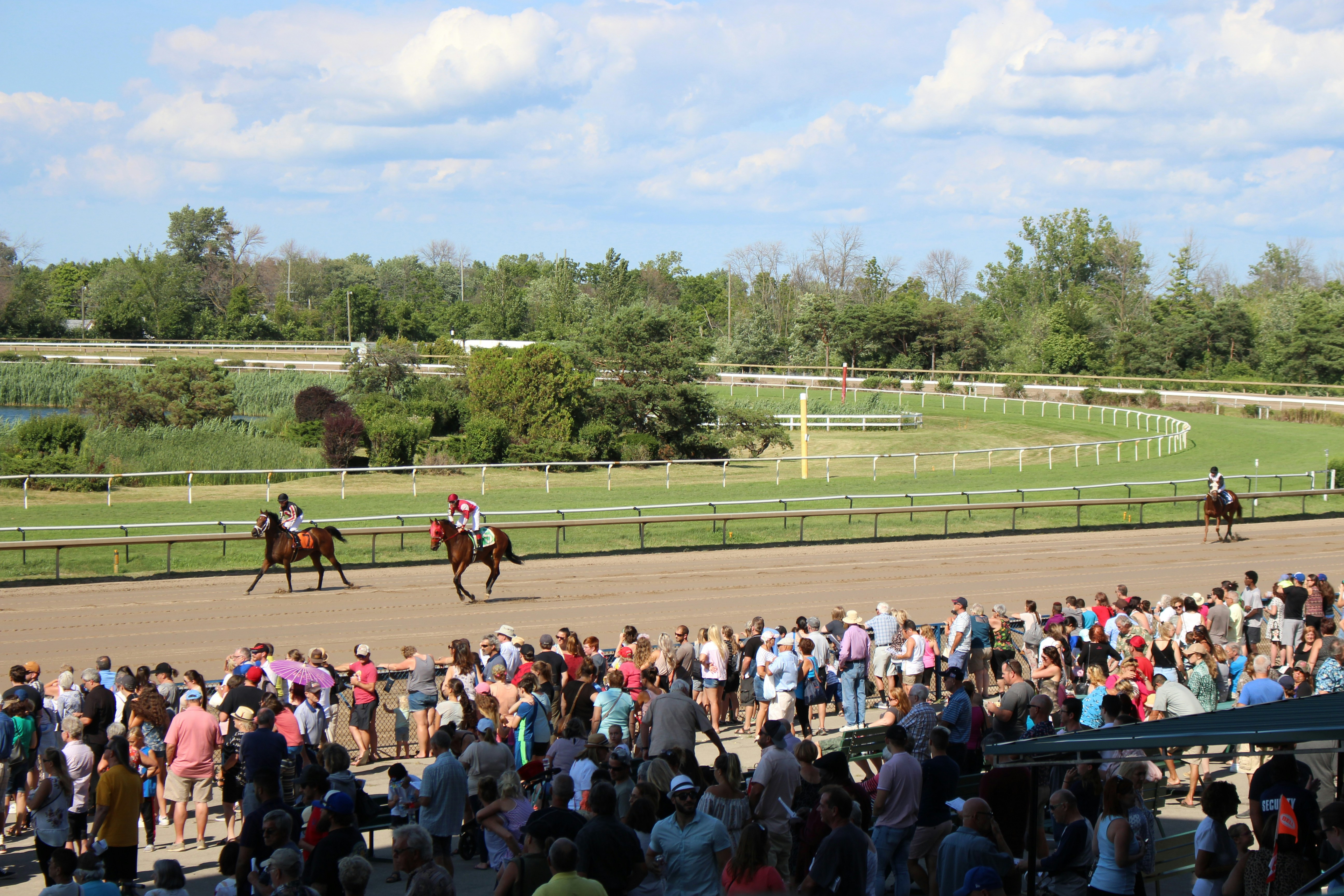 Racehorses powering down the straight